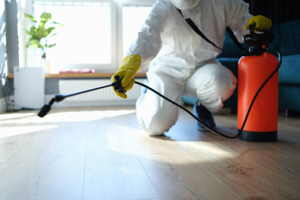 Best Residential Pest Control  in Hamton, IL