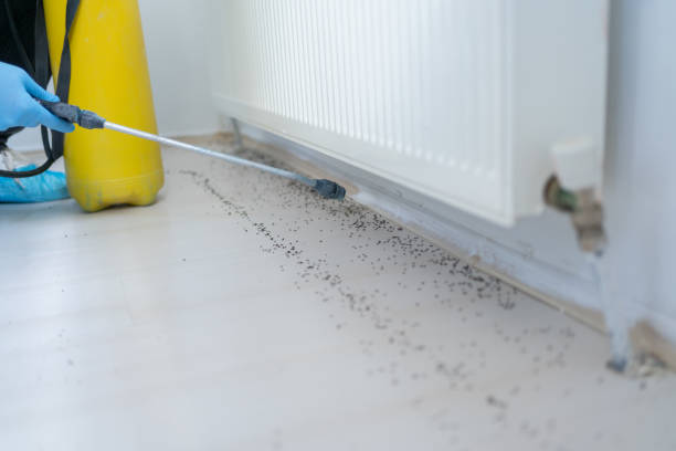 Pest Prevention Services in Hamilton, IL